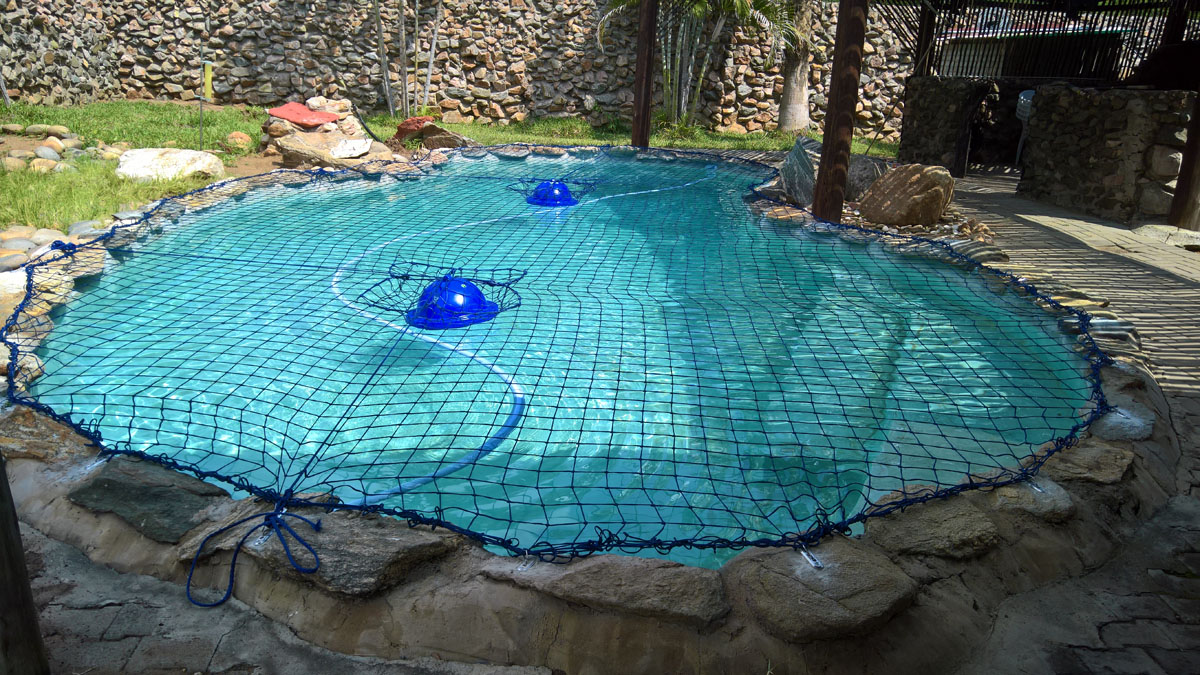 Pool Safety Net